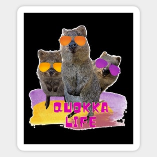 Quokka Life Sticker